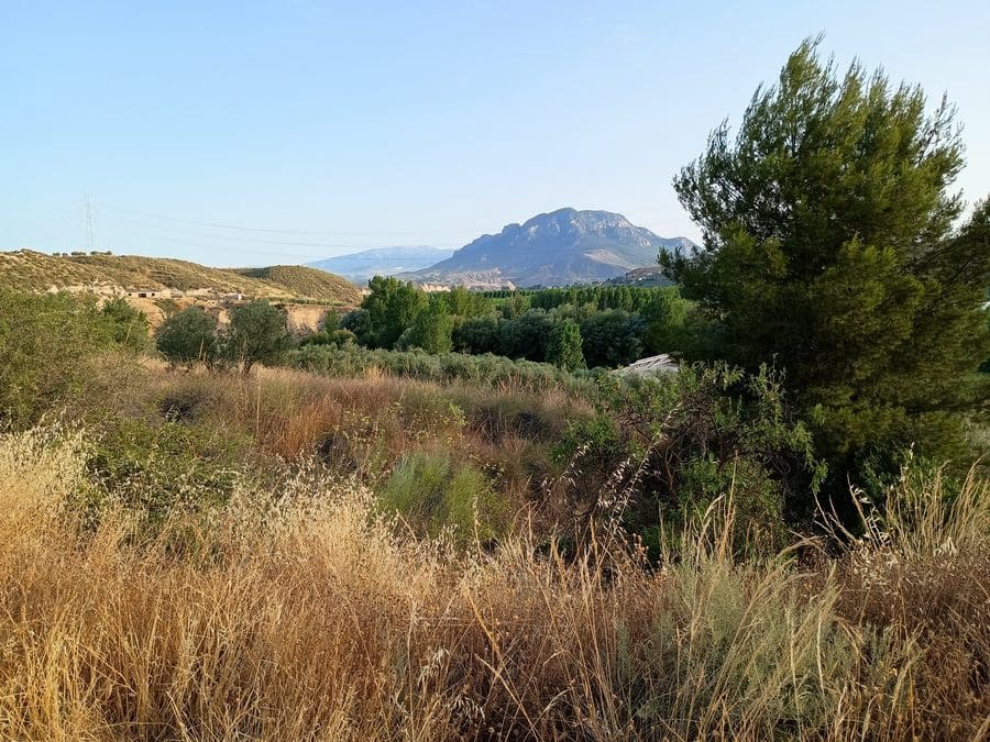 7 makuuhuone Luolatalo myytävänä paikassa Cortes de Baza - 195 000 € (Ref: 8953811)