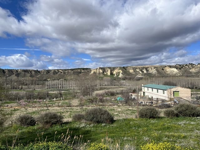 3 soveværelse Hulehus til salg i Cortes de Baza - € 55.000 (Ref: 8953812)