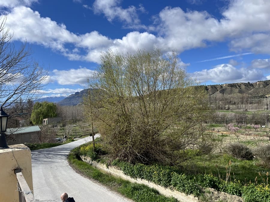 3 bedroom Cave House for sale in Cortes de Baza - € 55,000 (Ref: 8953812)