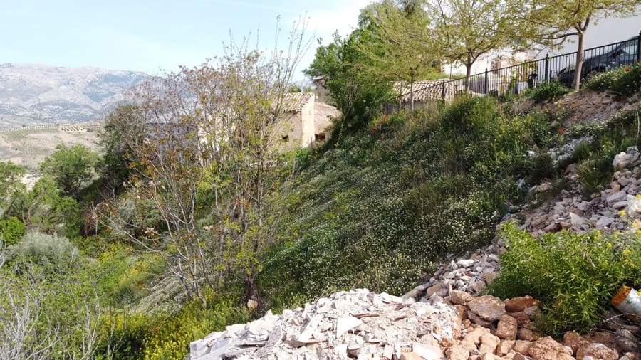 3 slaapkamer Huis te koop in Almontaras - € 54.000 (Ref: 8993267)