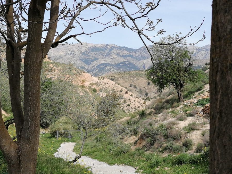 3 chambre Maison Troglodyte à vendre à Almontaras - 72 000 € (Ref: 9000689)