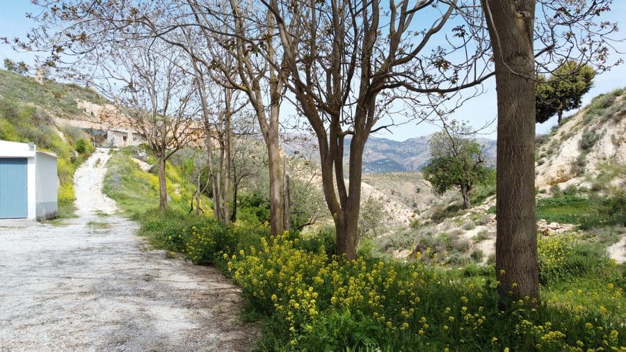 3 chambre Maison Troglodyte à vendre à Almontaras - 72 000 € (Ref: 9000689)