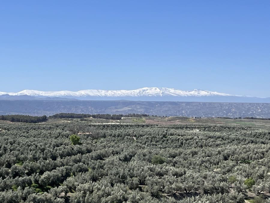 3 soveværelse Hulehus til salg i Cuevas del Campo med swimmingpool - € 99.950 (Ref: 9004650)