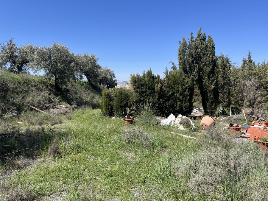 3 soveværelse Hulehus til salg i Cuevas del Campo med swimmingpool - € 99.950 (Ref: 9004650)