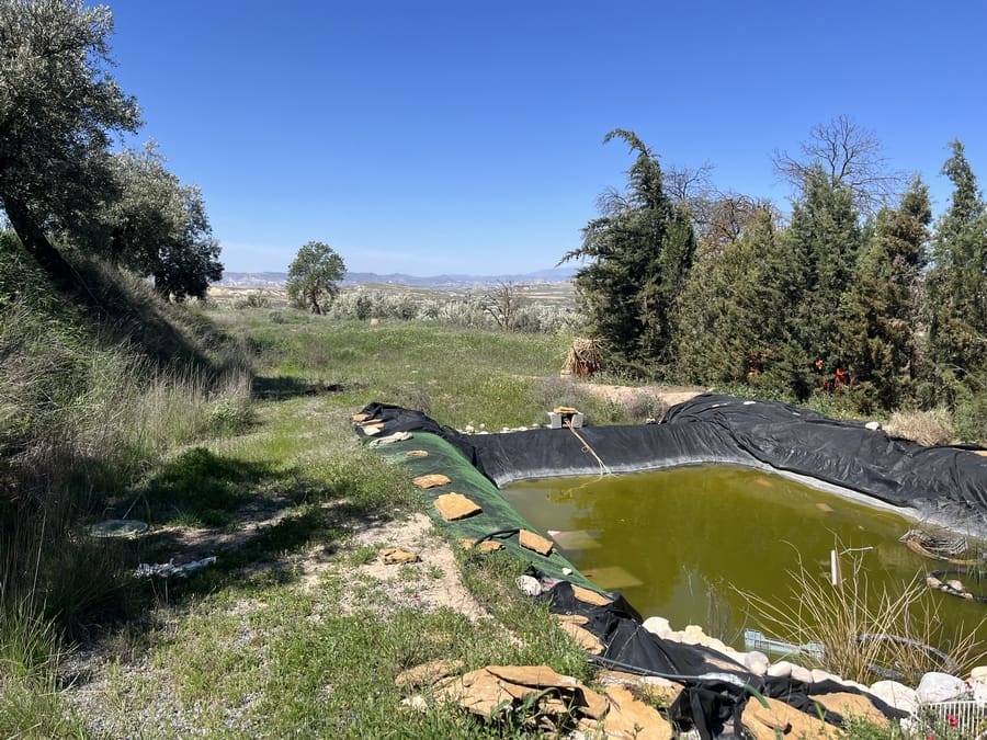 3 soveværelse Hulehus til salg i Cuevas del Campo med swimmingpool - € 99.950 (Ref: 9004650)