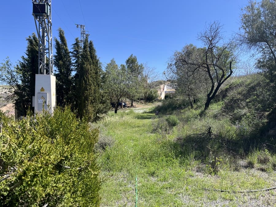 3 soveværelse Hulehus til salg i Cuevas del Campo med swimmingpool - € 99.950 (Ref: 9004650)