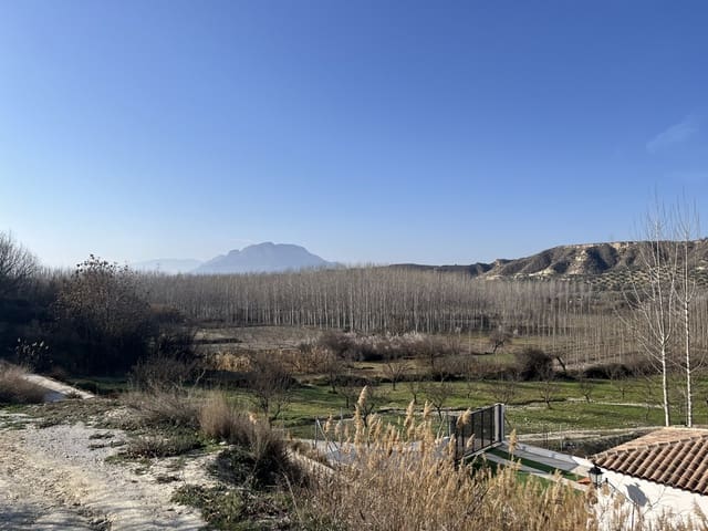 4 soveværelse Hulehus til salg i Cortes de Baza - € 118.950 (Ref: 9144331)