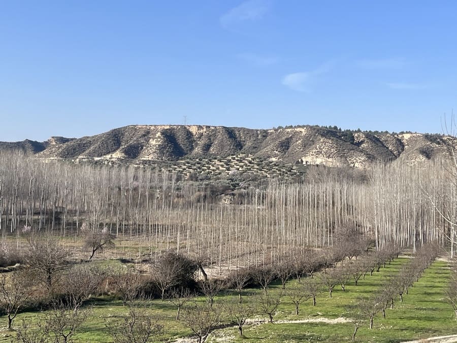 4 soveværelse Hulehus til salg i Cortes de Baza - € 118.950 (Ref: 9144331)