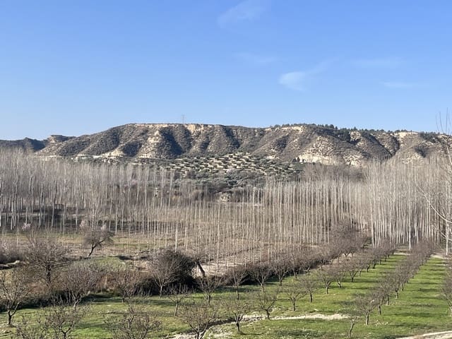 4 soveværelse Hulehus til salg i Cortes de Baza - € 118.950 (Ref: 9144331)