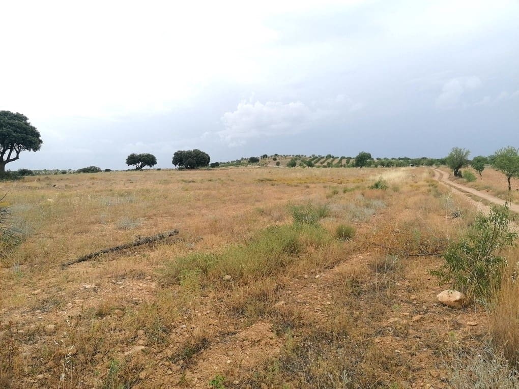 3 soverom Finca/Herregård til salgs i Gor med svømmebasseng - € 199 500 (Ref: 9176962)