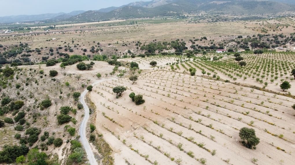 3 soverom Finca/Herregård til salgs i Gor med svømmebasseng - € 199 500 (Ref: 9176962)