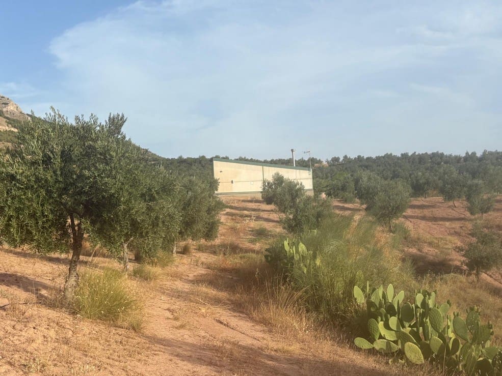 1 soveværelse Finca/Landehus til salg i Zujar - € 138.000 (Ref: 9230684)