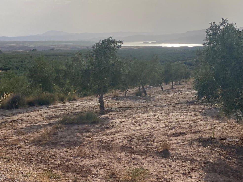 1 soveværelse Finca/Landehus til salg i Zujar - € 138.000 (Ref: 9230684)