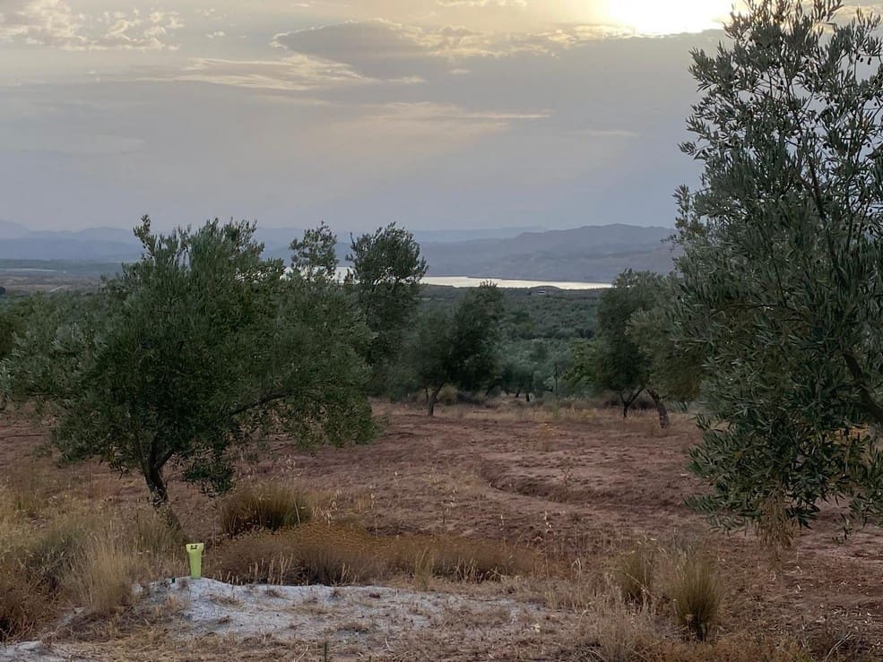 1 soveværelse Finca/Landehus til salg i Zujar - € 138.000 (Ref: 9230684)