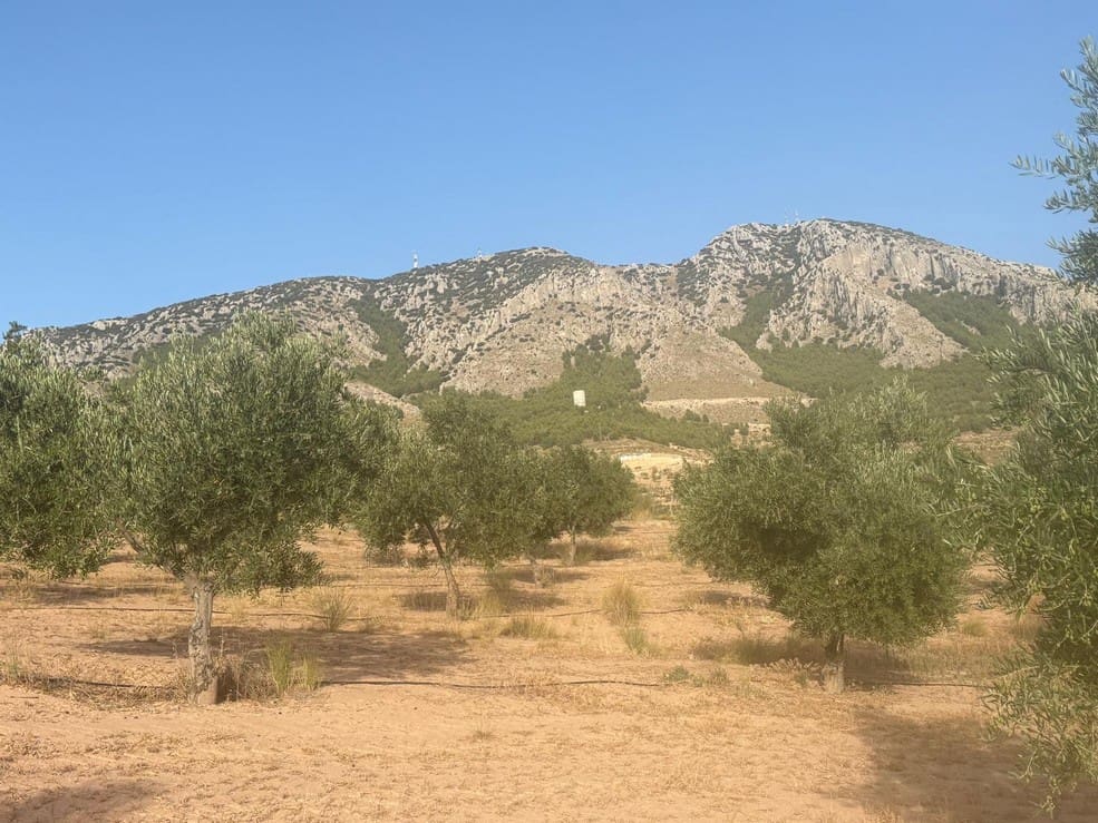 1 soveværelse Finca/Landehus til salg i Zujar - € 138.000 (Ref: 9230684)