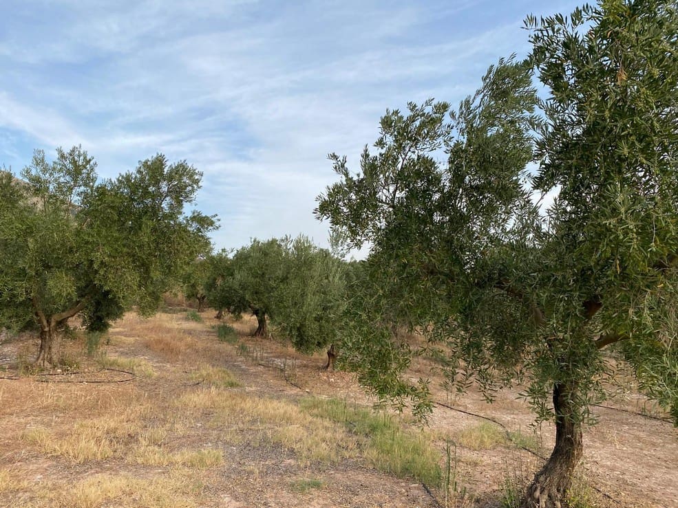 1 soveværelse Finca/Landehus til salg i Zujar - € 138.000 (Ref: 9230684)