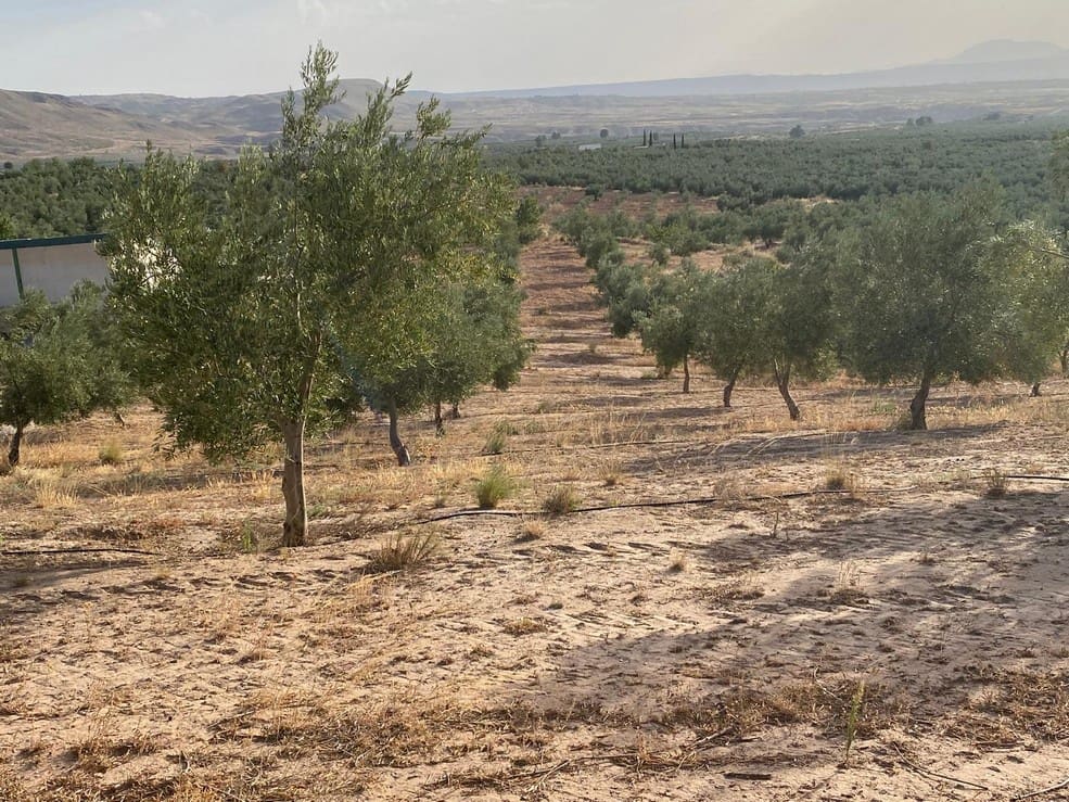 1 soveværelse Finca/Landehus til salg i Zujar - € 138.000 (Ref: 9230684)