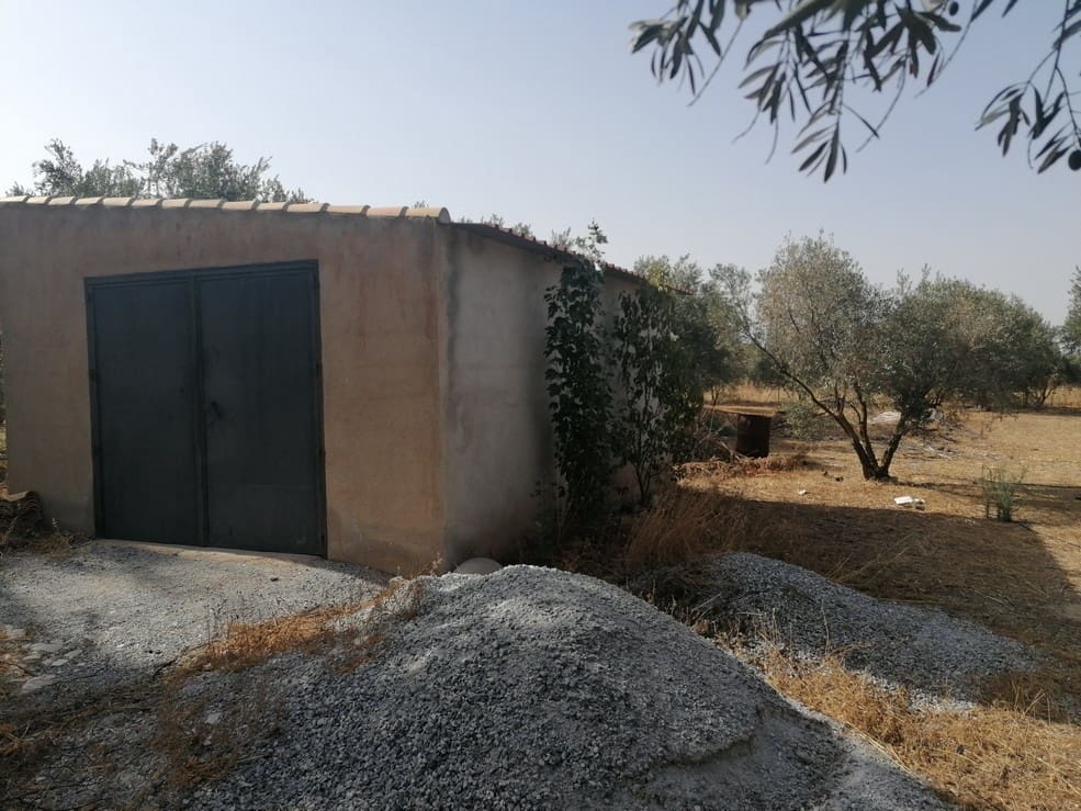 3 slaapkamer Finca/Landhuis te koop in Baza - € 159.000 (Ref: 9235126)