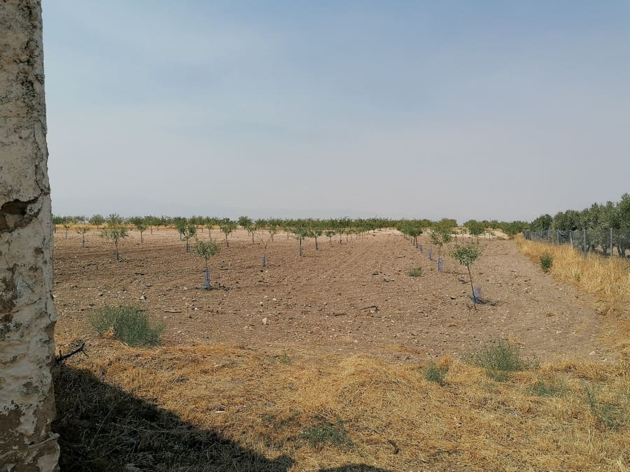 5 camera da letto Finca/Casa di Campagna in vendita in Jamula - 59.995 € (Rif: 9251657)