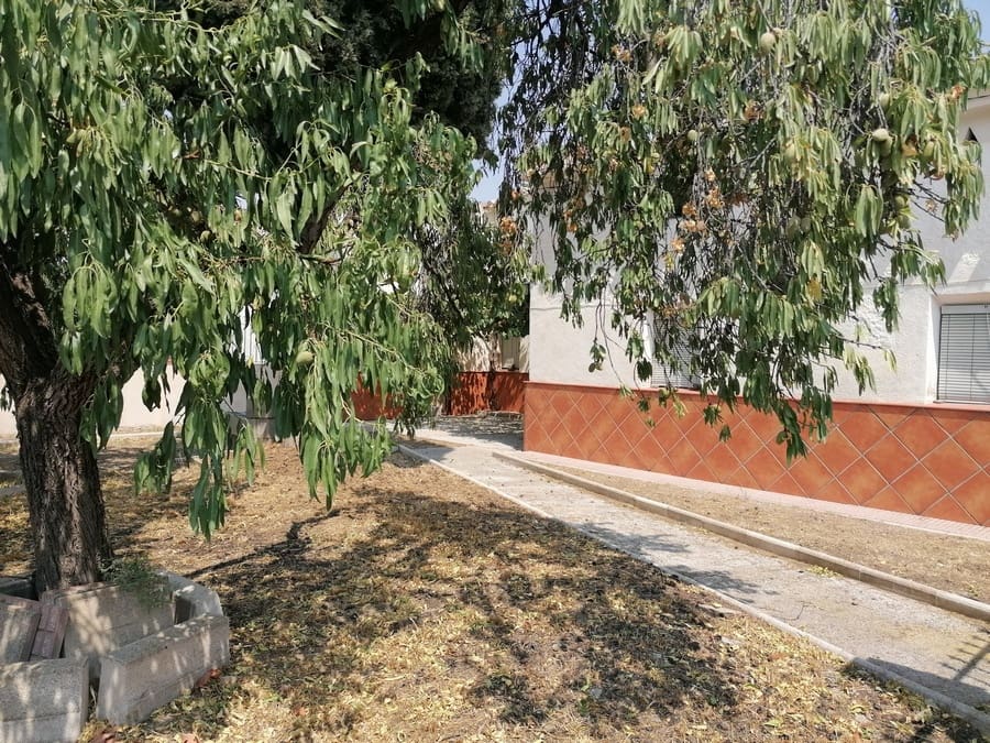 5 camera da letto Finca/Casa di Campagna in vendita in Jamula - 59.995 € (Rif: 9251657)