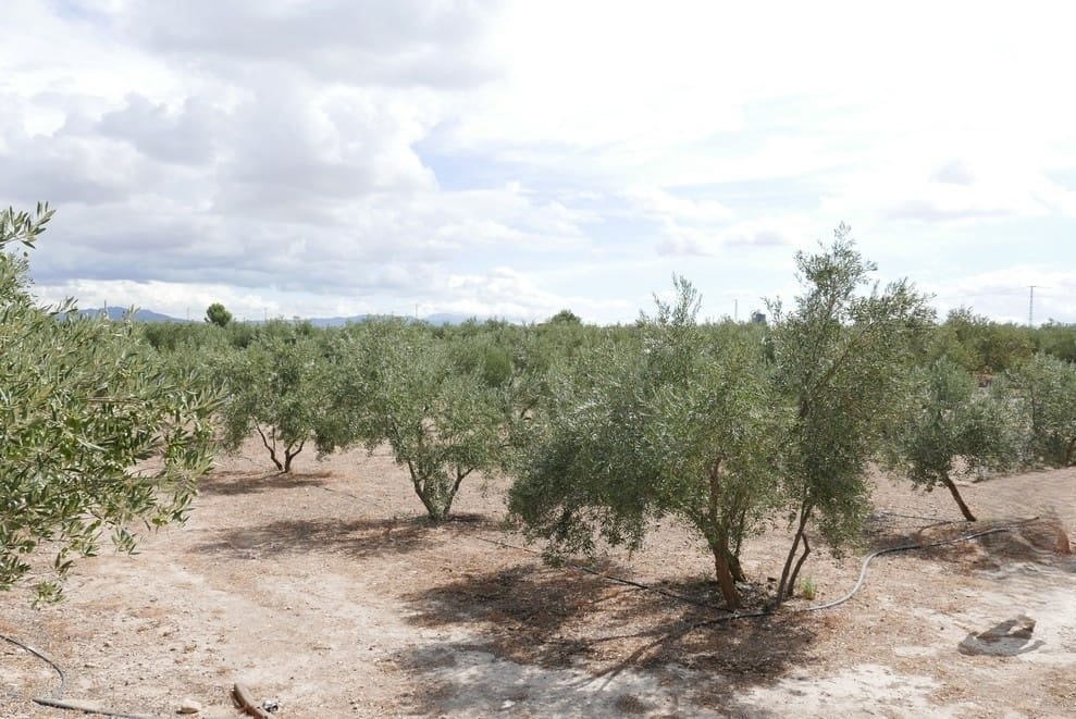 1 sovrum Finca/Hus på landet till salu i Baza - 69 999 € (Ref: 9275185)