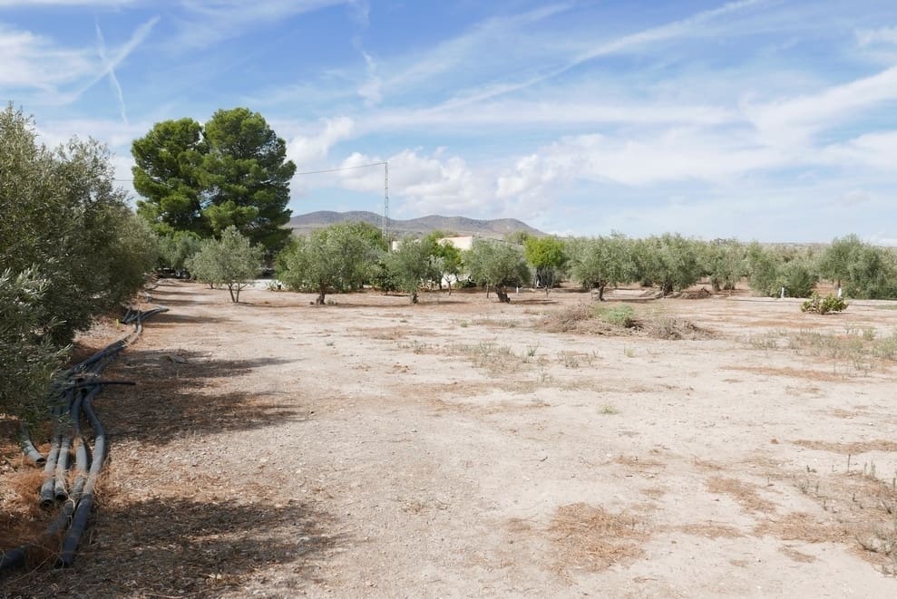 1 sovrum Finca/Hus på landet till salu i Baza - 69 999 € (Ref: 9275185)