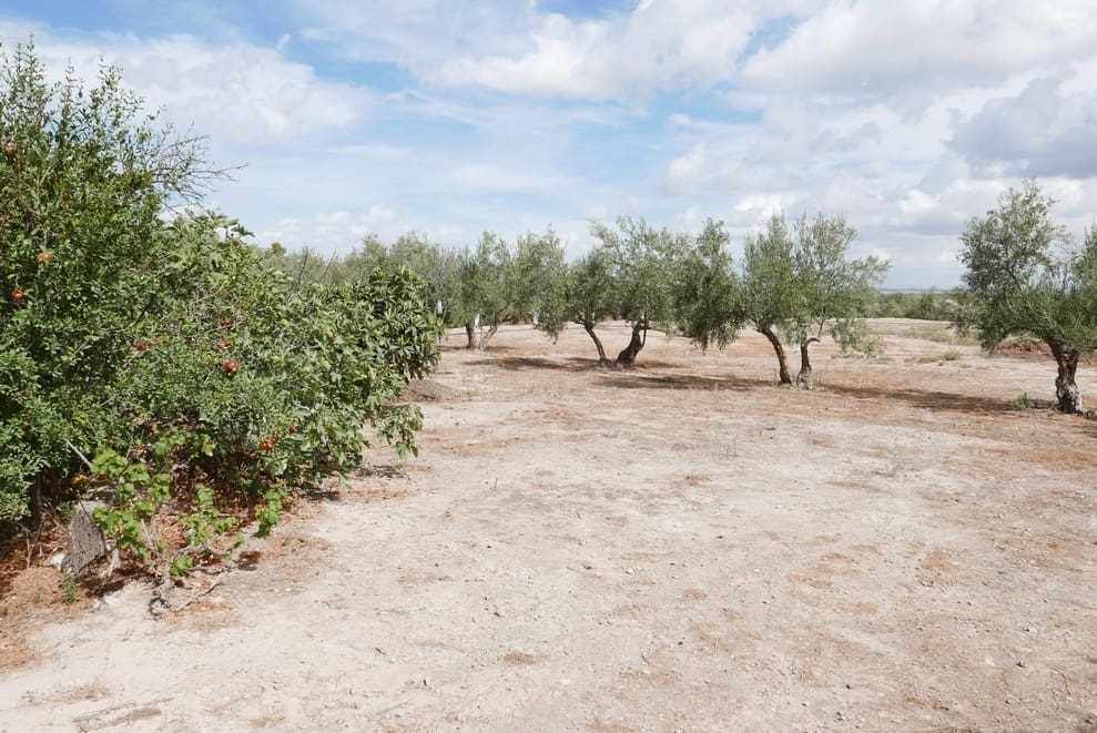 1 sovrum Finca/Hus på landet till salu i Baza - 69 999 € (Ref: 9275185)