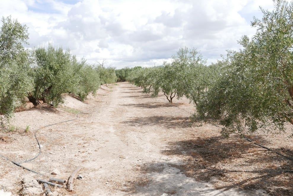 1 sovrum Finca/Hus på landet till salu i Baza - 69 999 € (Ref: 9275185)