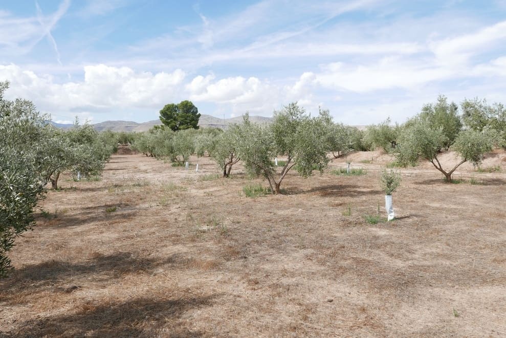 1 sovrum Finca/Hus på landet till salu i Baza - 69 999 € (Ref: 9275185)