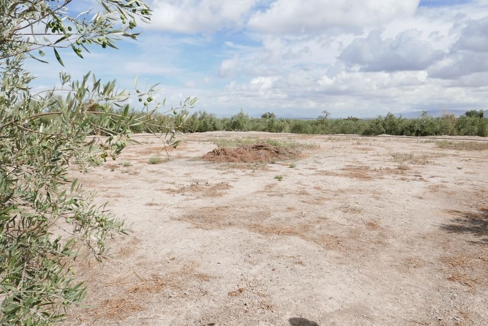 1 sovrum Finca/Hus på landet till salu i Baza - 69 999 € (Ref: 9275185)