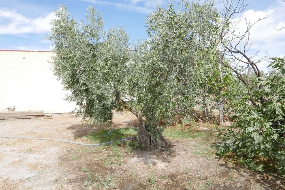 1 sovrum Finca/Hus på landet till salu i Baza - 69 999 € (Ref: 9275185)