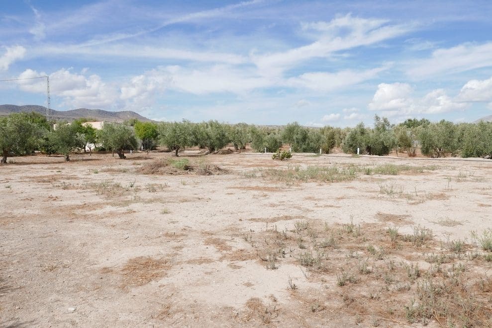 1 bedroom Finca/Country House for sale in Baza - € 69,999 (Ref: 9275185)