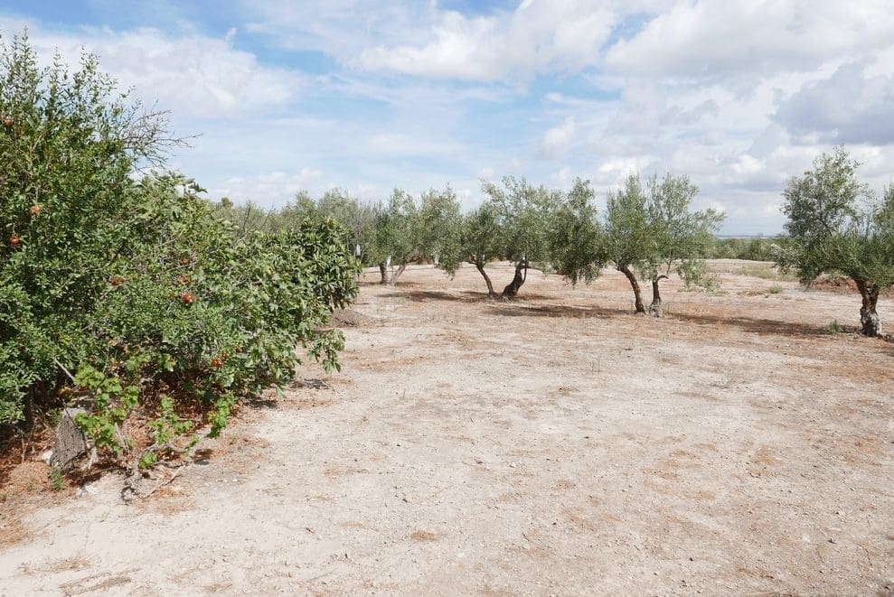 1 bedroom Finca/Country House for sale in Baza - € 69,999 (Ref: 9275185)