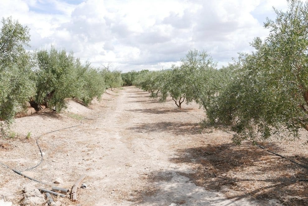 1 bedroom Finca/Country House for sale in Baza - € 69,999 (Ref: 9275185)