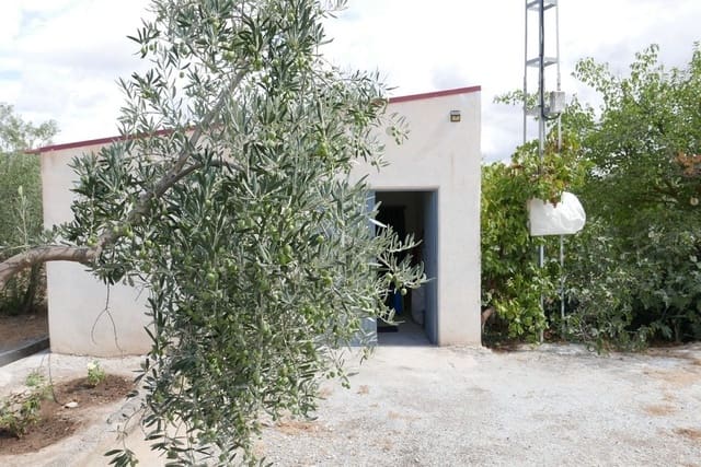 1 chambre Finca/Maison de Campagne à vendre à Baza - 69 999 € (Ref: 9275185)