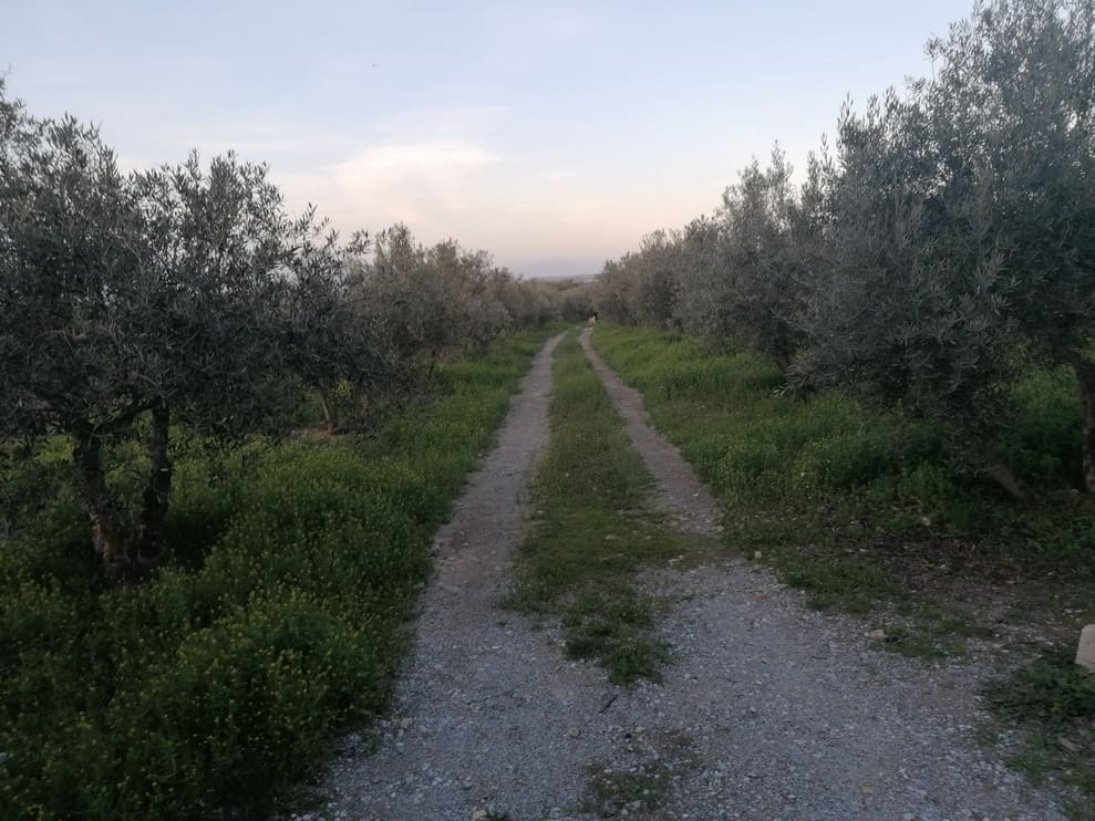 3 bedroom Finca/Country House for sale in Baza - € 155,000 (Ref: 9293281)