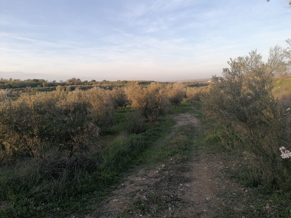 3 bedroom Finca/Country House for sale in Baza - € 155,000 (Ref: 9293281)