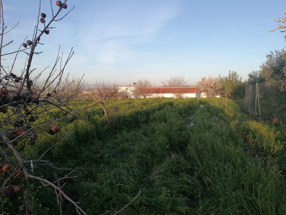 3 bedroom Finca/Country House for sale in Baza - € 155,000 (Ref: 9293281)