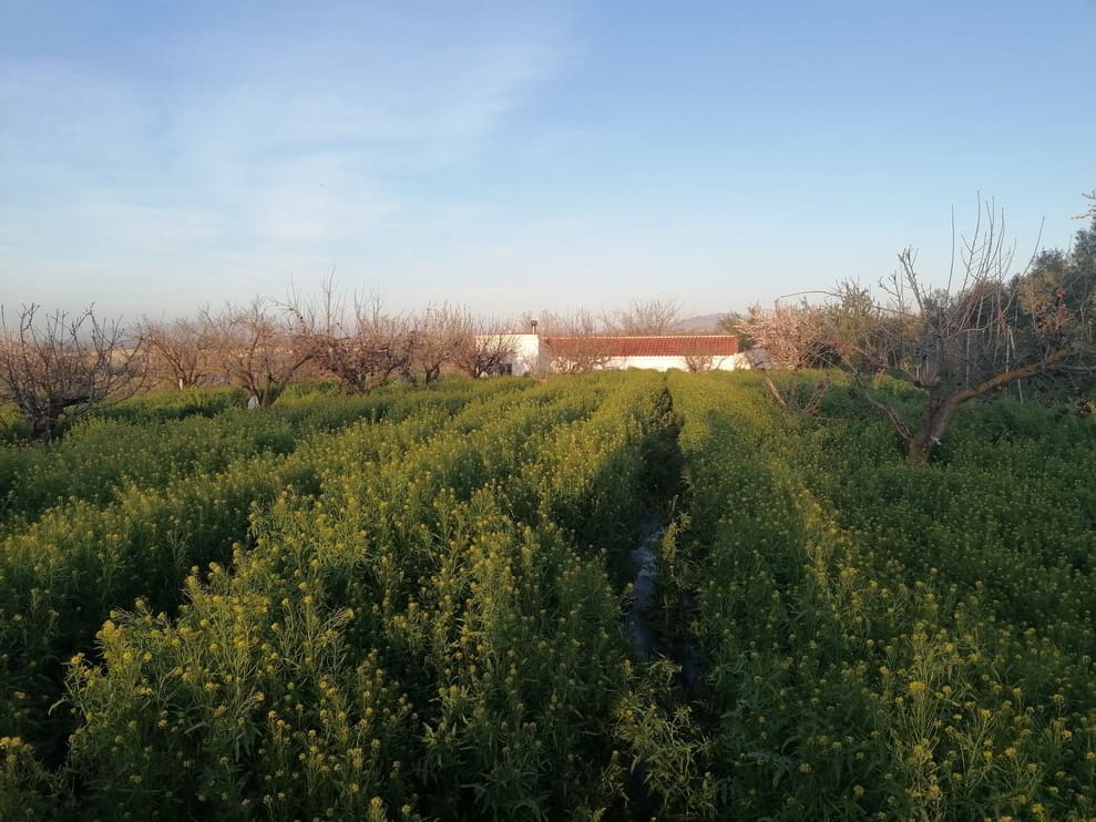 3 bedroom Finca/Country House for sale in Baza - € 155,000 (Ref: 9293281)