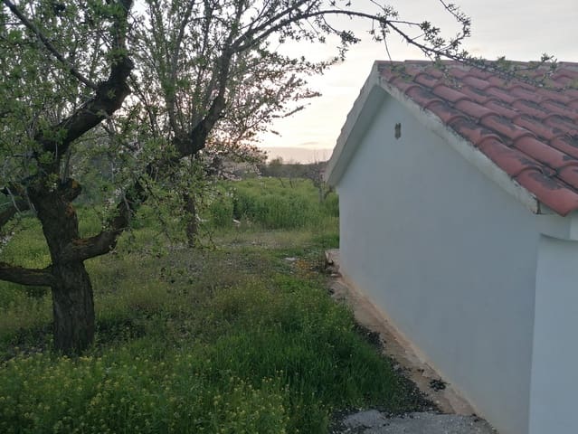 3 sovrum Finca/Hus på landet till salu i Baza - 155 000 € (Ref: 9293281)