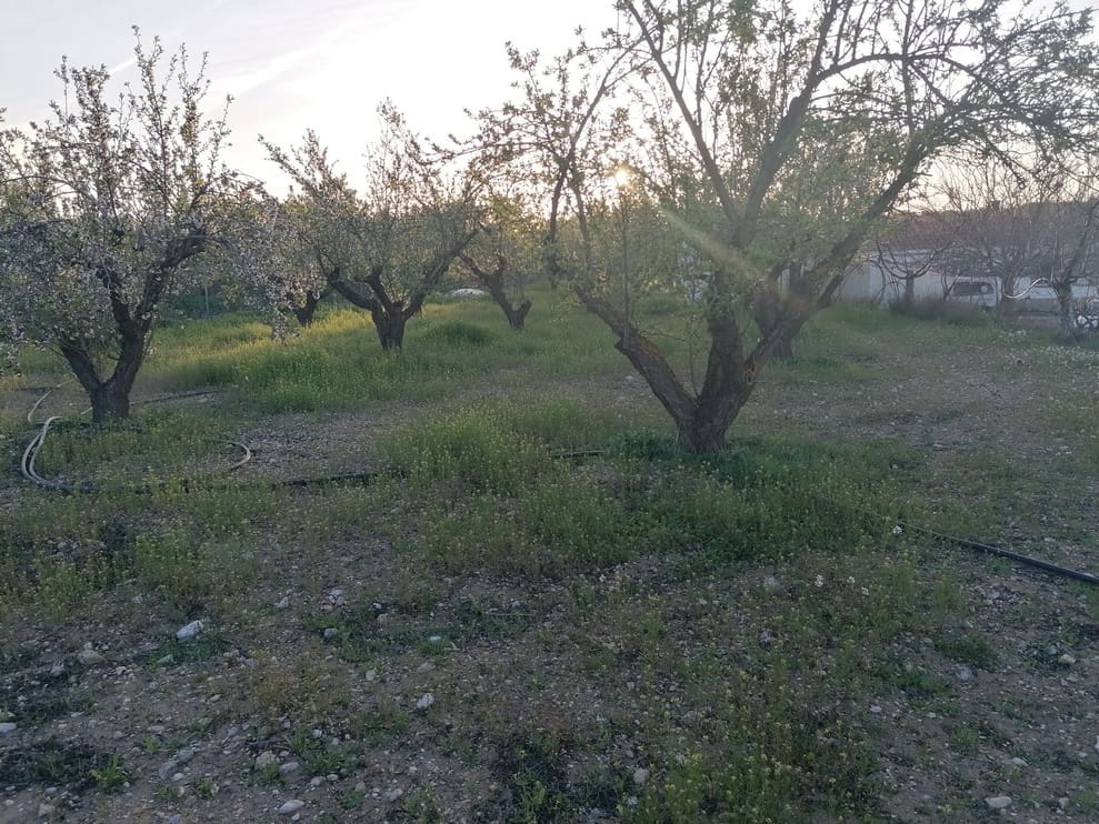 3 bedroom Finca/Country House for sale in Baza - € 155,000 (Ref: 9293281)