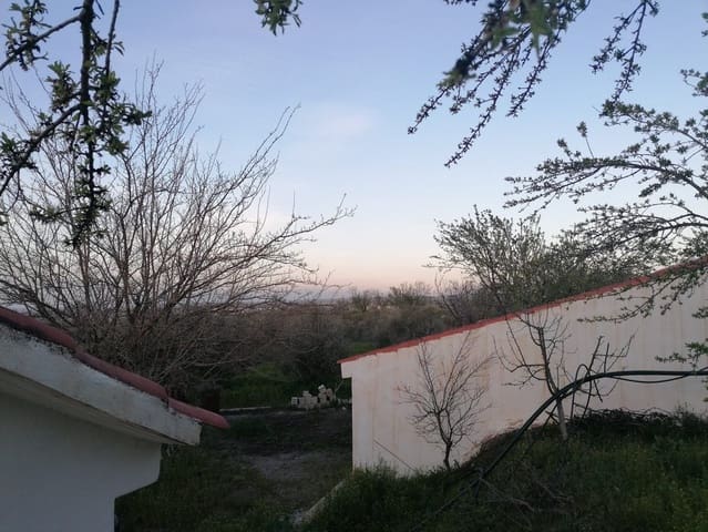 3 chambre Finca/Maison de Campagne à vendre à Baza - 155 000 € (Ref: 9293281)