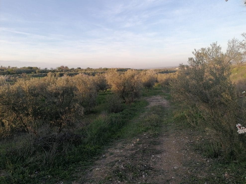 3 bedroom Finca/Country House for sale in Baza - € 155,000 (Ref: 9293281)