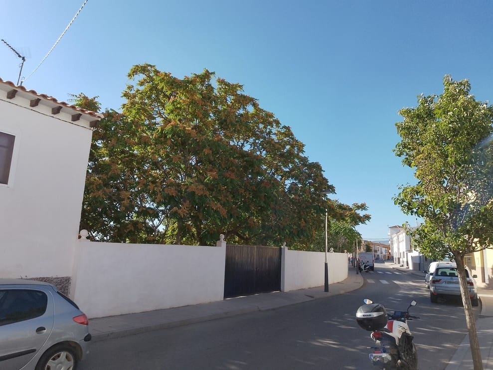 6 soveværelse Byhus til salg i Baza - € 265.000 (Ref: 9293283)