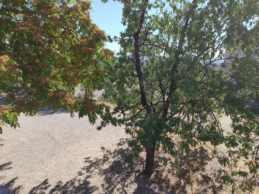 6 soveværelse Byhus til salg i Baza - € 265.000 (Ref: 9293283)