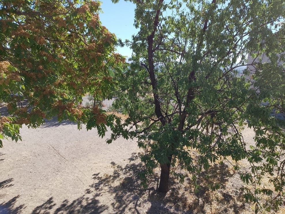 6 makuuhuone Omakotitalo myytävänä paikassa Baza - 265 000 € (Ref: 9293283)