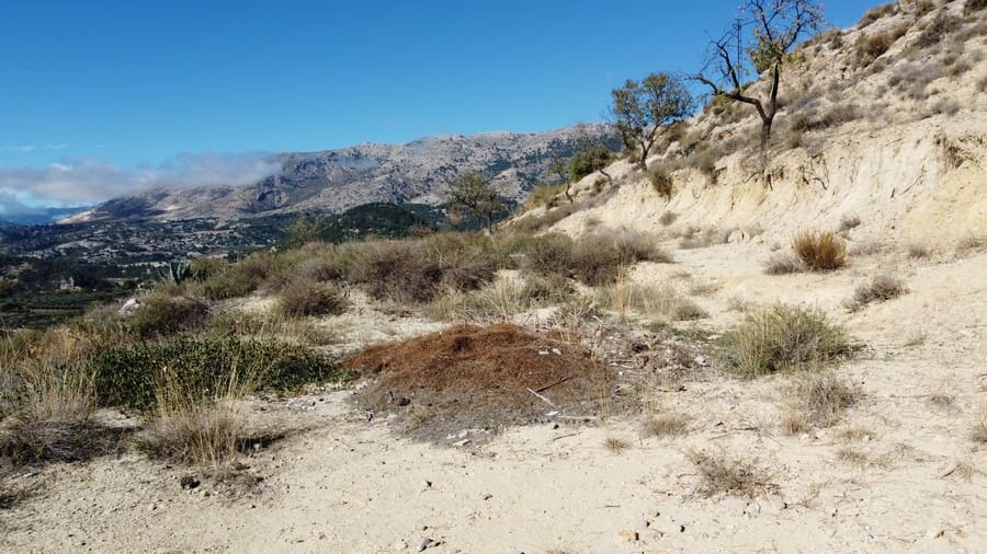 3 sovrum Finca/Hus på landet till salu i Castril - 135 000 € (Ref: 9357362)