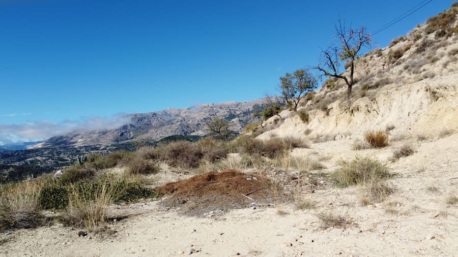 3 sovrum Finca/Hus på landet till salu i Castril - 135 000 € (Ref: 9357362)