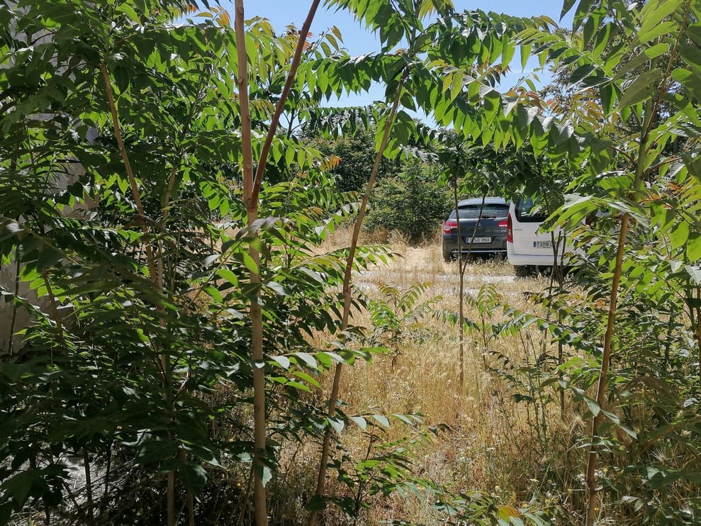 4 soverom Finca/Herregård til salgs i La Alqueria - € 23 500 (Ref: 9402538)