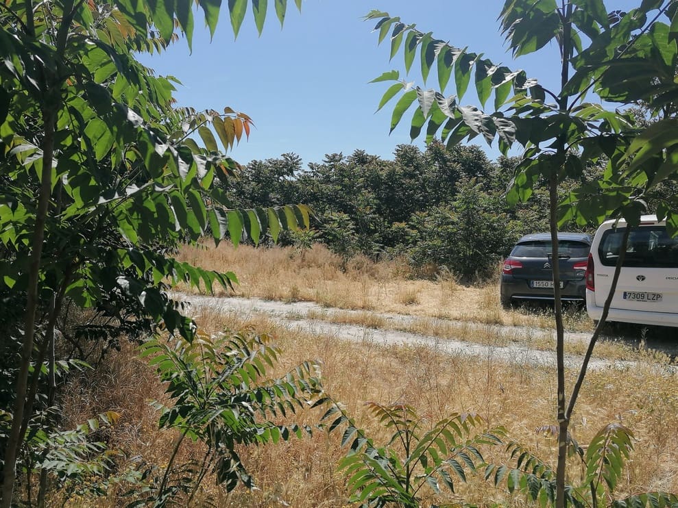 4 soverom Finca/Herregård til salgs i La Alqueria - € 23 500 (Ref: 9402538)